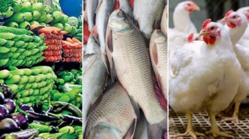 সবজি-মুরগির দাম কমলেও মাছের বাজারে অস্থিরতা
