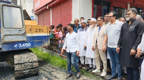 পরিবেশ রক্ষায় সকলকে এগিয়ে আসতে হবে: মামুন মাহমুদ